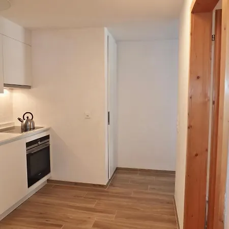 Apartment Silvretta - Celerina